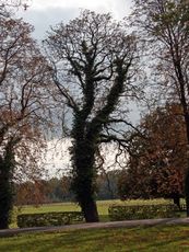 B-Herbststimmung 097.jpg